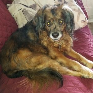 Meet your Posher, Sandra